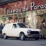Peugeot 204 1965 года